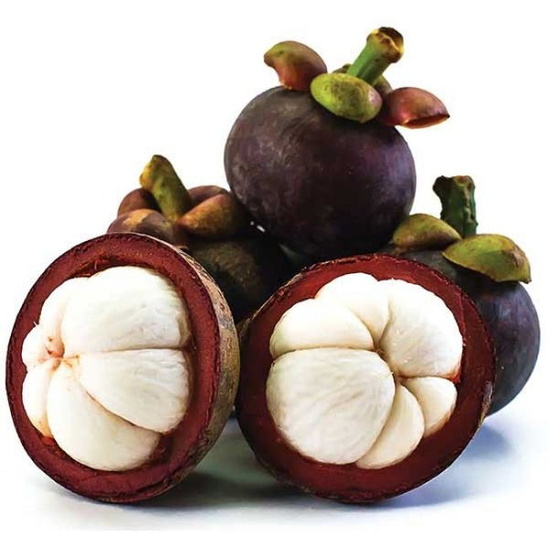 verse mangosteen, sirsak, 250g mangosteen, tropisch fruit, exotisch fruit, mangosteen voordelen, mangosteen kopen, mangosteen bestellen, mangosteen online, mangosteen voedingsstoffen, mangosteen recepten, mangosteen smoothie, mangosteen dessert, GOOD EXOTIC FOOD, mangosteen gezondheidsvoordelen, biologische mangosteen, duurzame mangosteen, vers fruit, mangosteen opsl